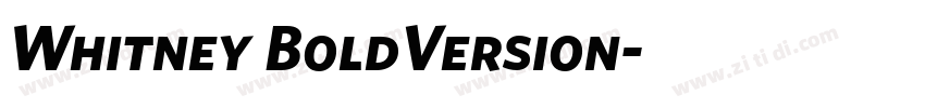 Whitney BoldVersion字体转换
